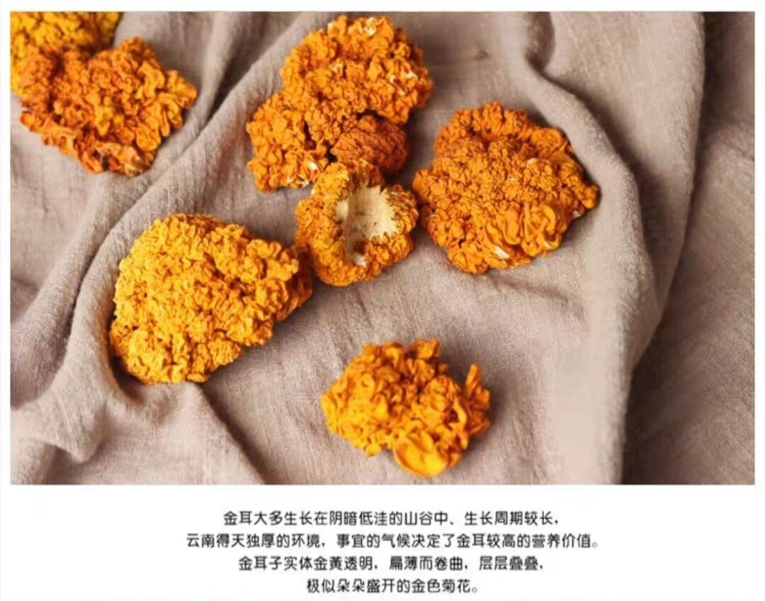 金耳菌干货云南特产干黄金耳银耳菌菌黄木耳黄耳金耳 金耳100克装
