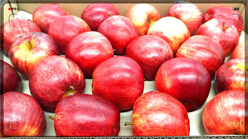 加力果水果新鲜当季黄红苹果神仙果小花苹果团购礼盒 7斤【图片 价格