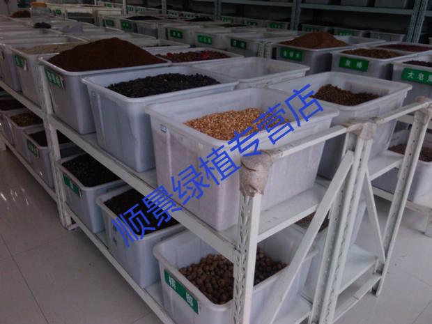 新采紫荆种子 巨紫荆种子 紫荆树种子 紫荆花种子 庭院花卉种子 半斤