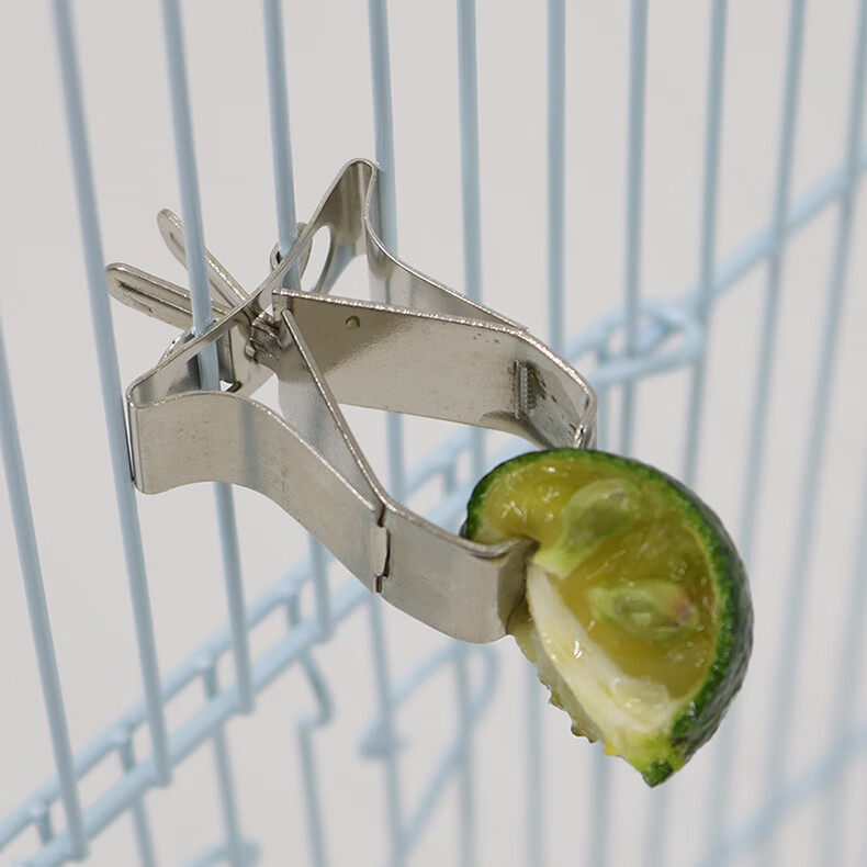 哈鸟鹦鹉不锈钢水果夹 鸟用水果叉 鹦鹉喂食器 喂水果蔬菜专用夹 鹦鹉