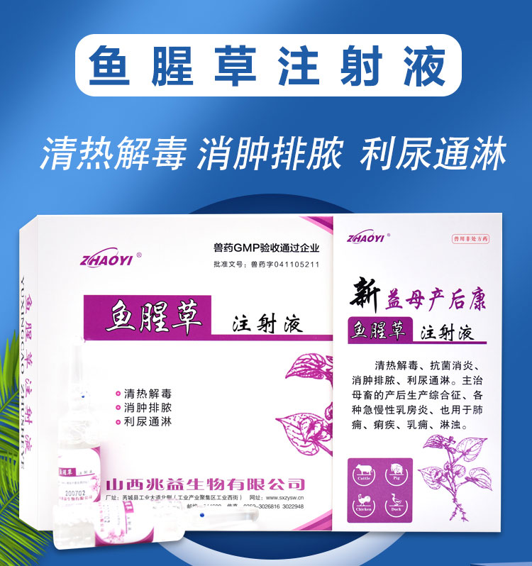 益母产后康兽用兽药猪药牛羊母猪犬猫产前产后鱼腥草注射用液 1盒