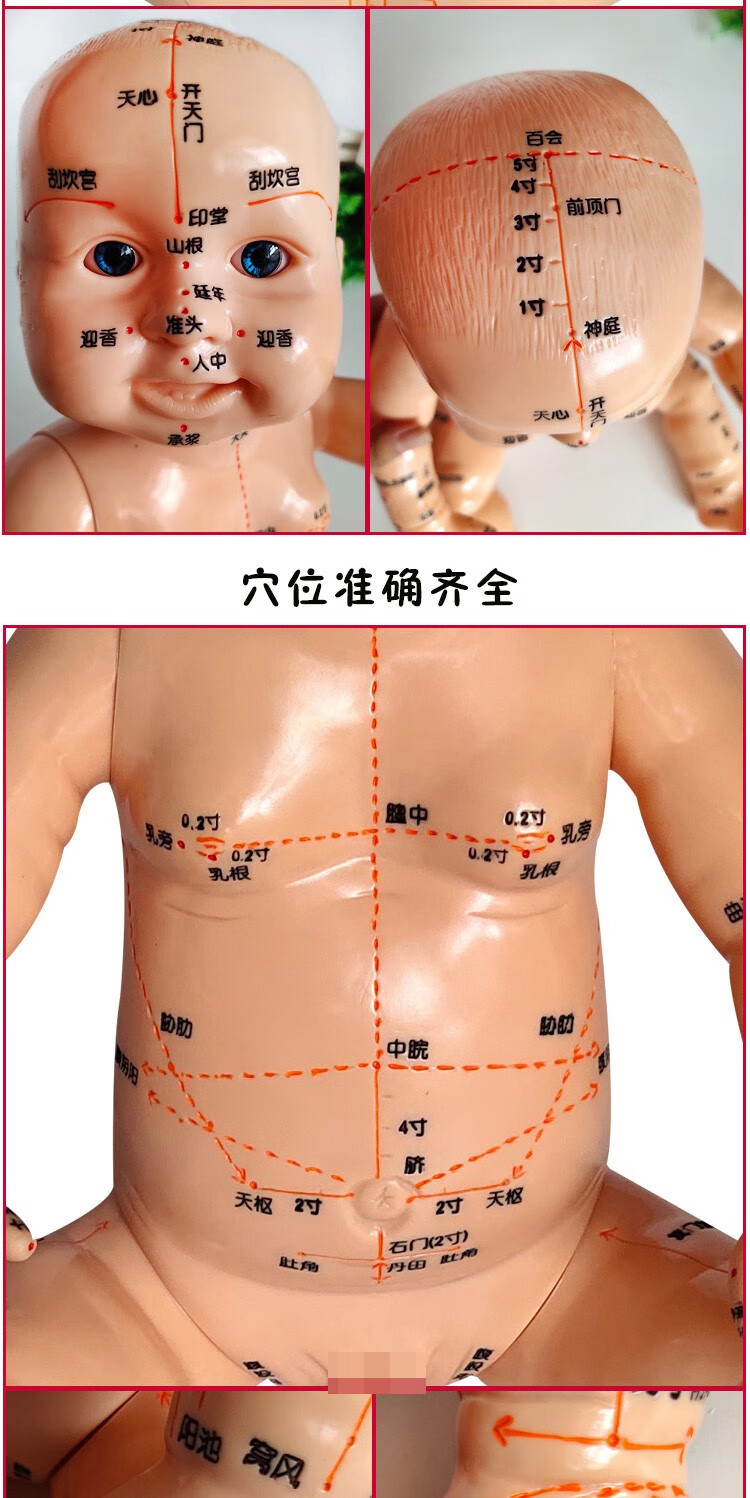 丰帆 小儿推拿模型 穴位模型 经络按摩人体带穴位模型 月嫂培训中心