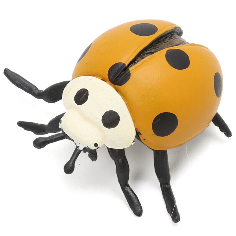 定制仿真昆虫模型动物玩具蝴蝶蜜蜂蜘蛛蚱蜢螳螂七星瓢虫蜻蜓蟋蟀