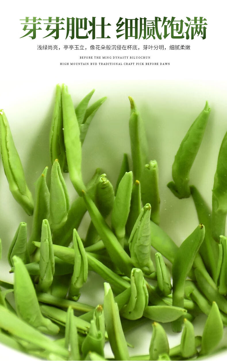上新促销雀舌绿茶2020新茶春茶毛尖湄潭翠芽毛峰明前嫩芽罐装50克200