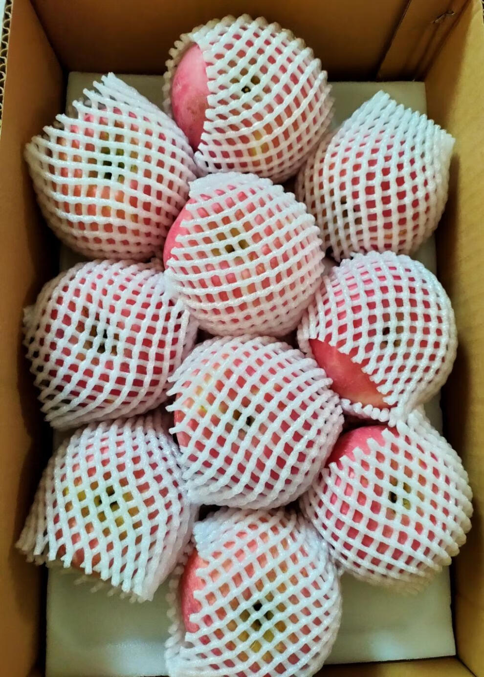 浆水苹果(浆水苹果为什么叫浆水苹果)