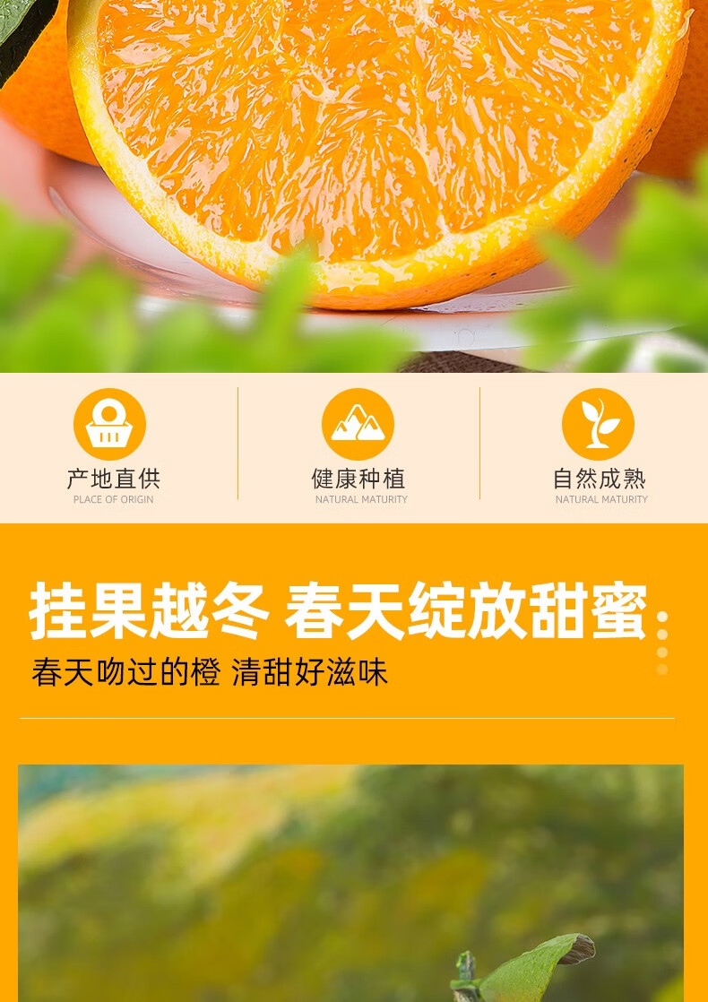 湖北秭归伦晚脐橙新鲜橙子应季当季水果手剥橙甜橙整箱夏橙3斤试吃果