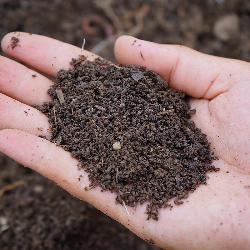 蚯蚓粪盆栽花卉植物有机园艺绿萝肥料种菜绿色养花土多肉营养土 物流