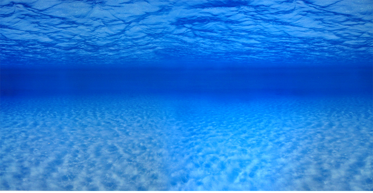 鱼缸背景图画纸高清图3d立体鱼缸装饰贴纸壁纸水族箱造景装饰贴画70高