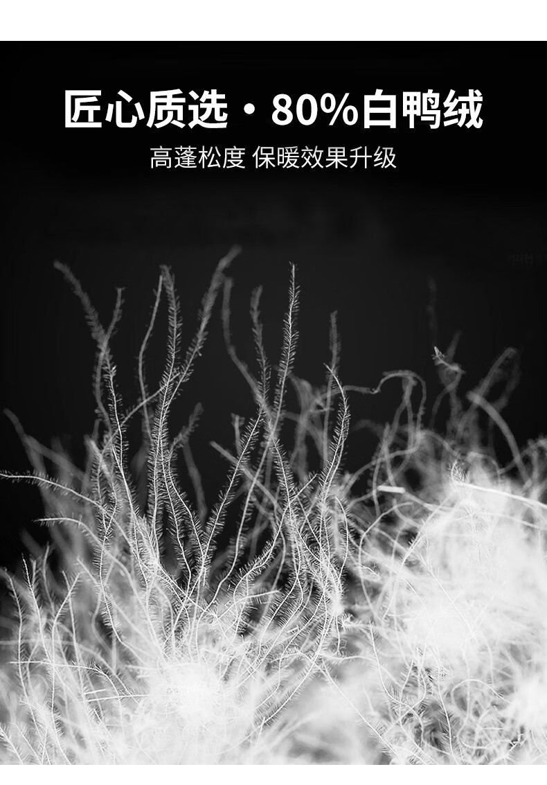 b77ac9c0252e8ffb.jpg