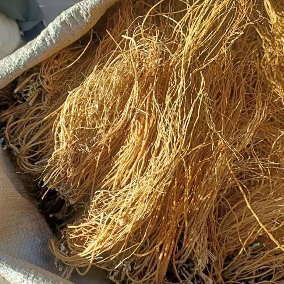 龙胆草中药材整颗龙胆草苦胆草龙胆自然晒干100克云南野生