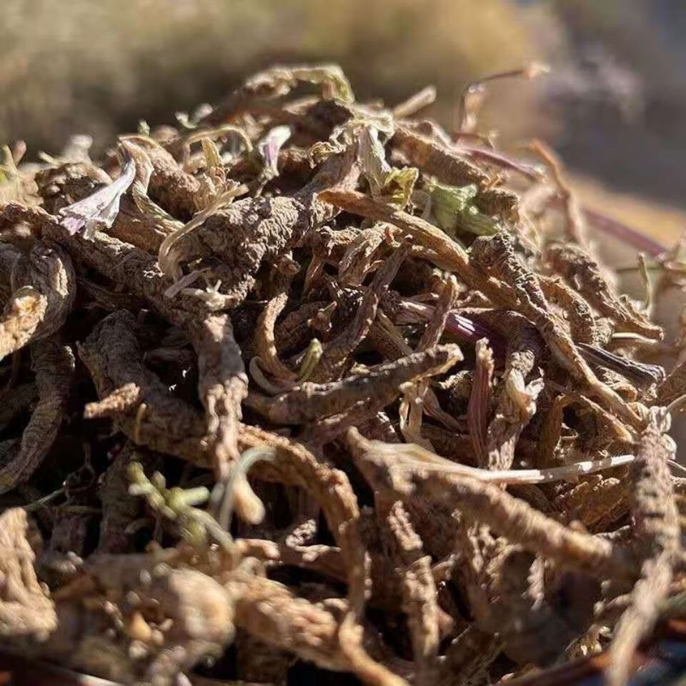 有仁堂西藏林芝小当归藏当归干货100g(下单餸礼品)