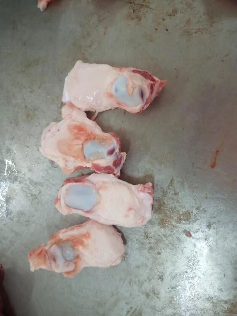 新鲜猪膝盖骨宝骨猪副产品红烧窝骨烧烤等食堂饭店20斤装江浙沪皖拍