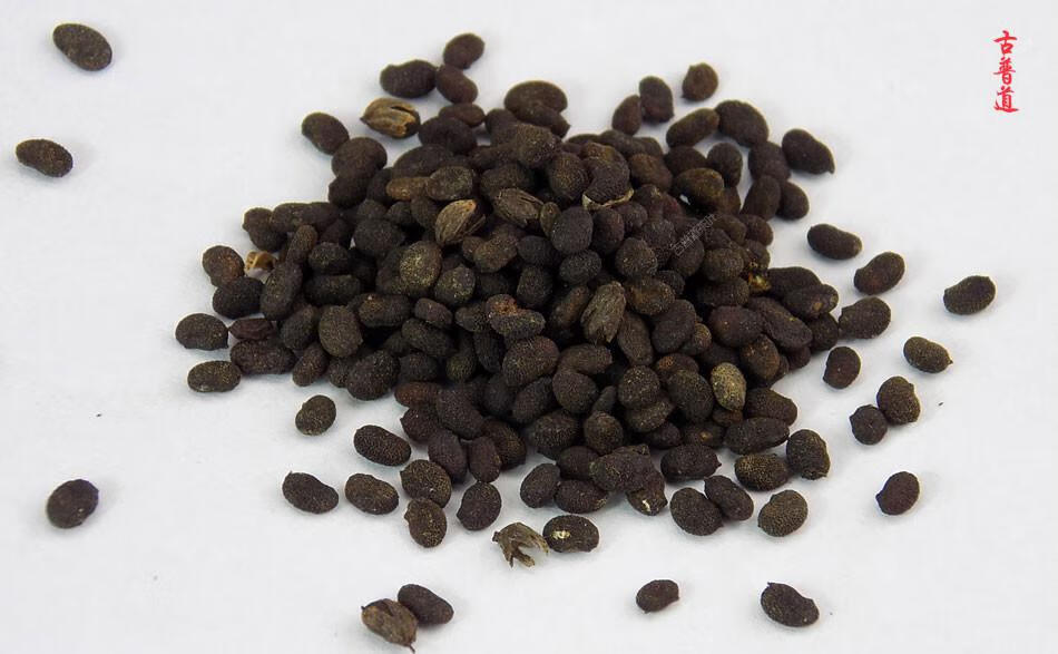 古普道 补骨脂 破故子 破故纸 代打生补骨脂粉 中药材黑故(加急发货)