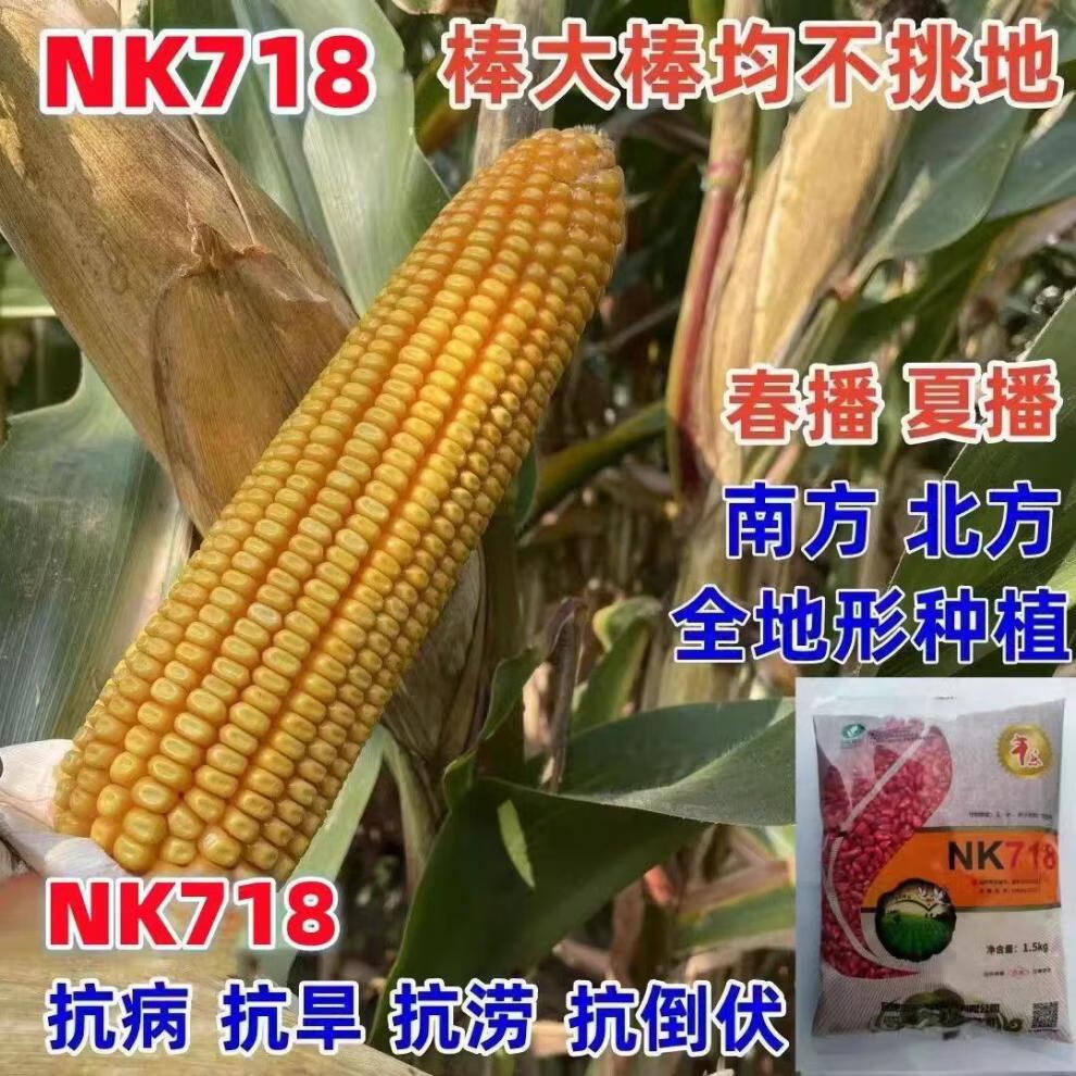 a93246e446d2784d.jpg