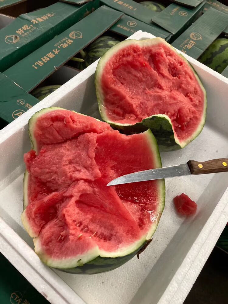 翡翠蒂西瓜2只装超甜汁水分足新鲜采摘口感甜蜜约15斤左右整箱年货