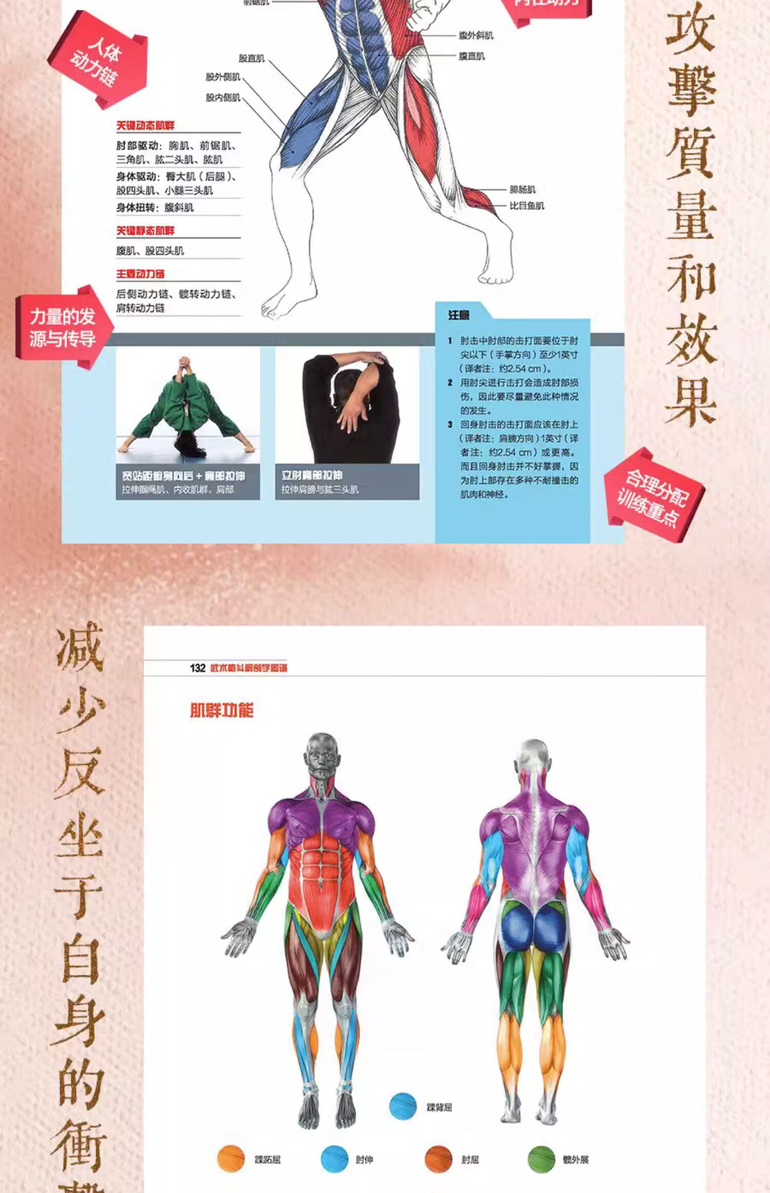 武术格斗解剖学图谱 伊米大师以色列格斗术 面对持械攻击者