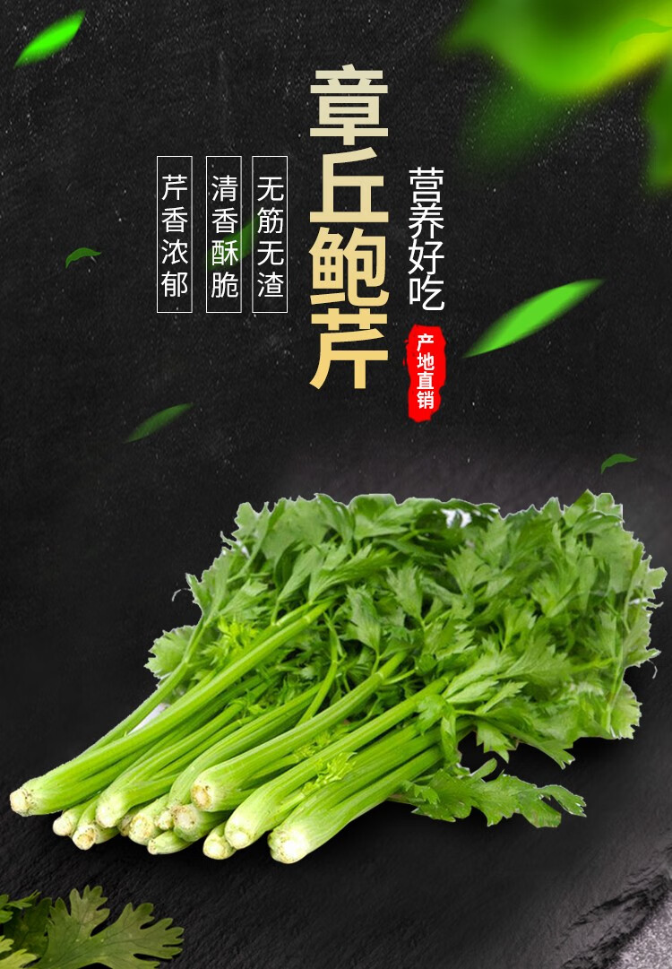 章丘鲍芹山东特产蔬菜沙拉榨汁嫩芹菜芯脆甜无丝无渣5斤 2500g【图片