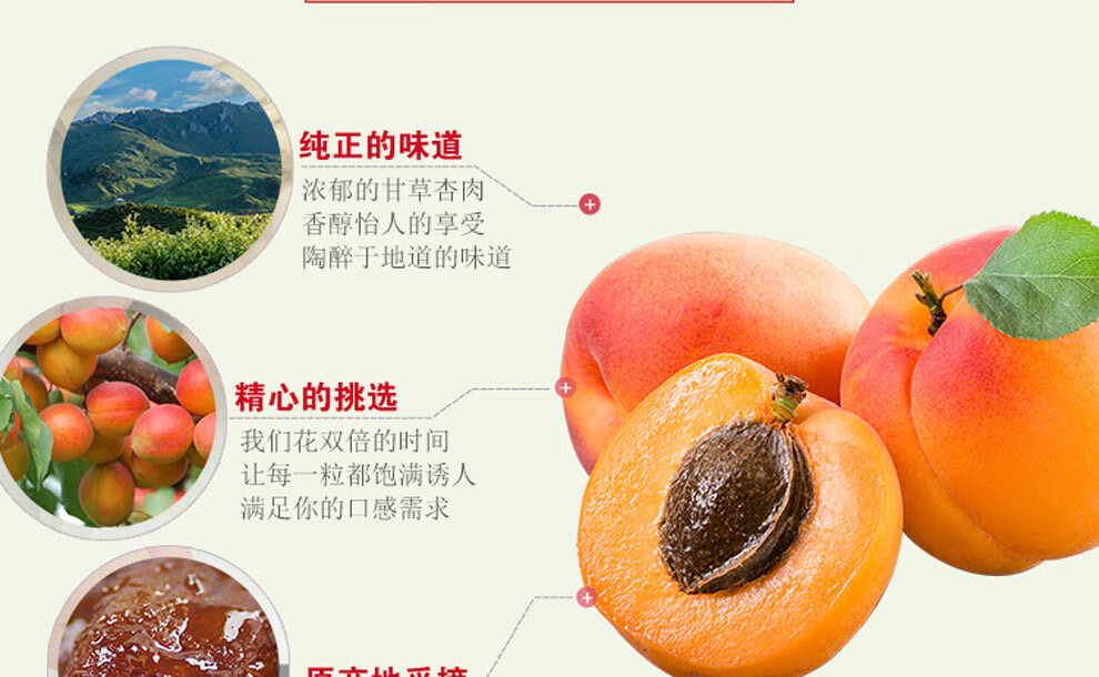 特产 雪花杏干独立小袋 办公室经典怀旧零食蜜饯果干量贩装大量杏脯肉