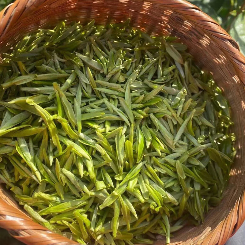 戈家茶叶2022年黄山春茶毛峰新茶安徽绿茶特级嫩芽明前新茶徽州茗茶