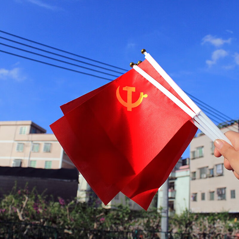 左一仁 五星小红旗8号中国带杆装饰国庆节小旗子手持手拿8号手摇旗