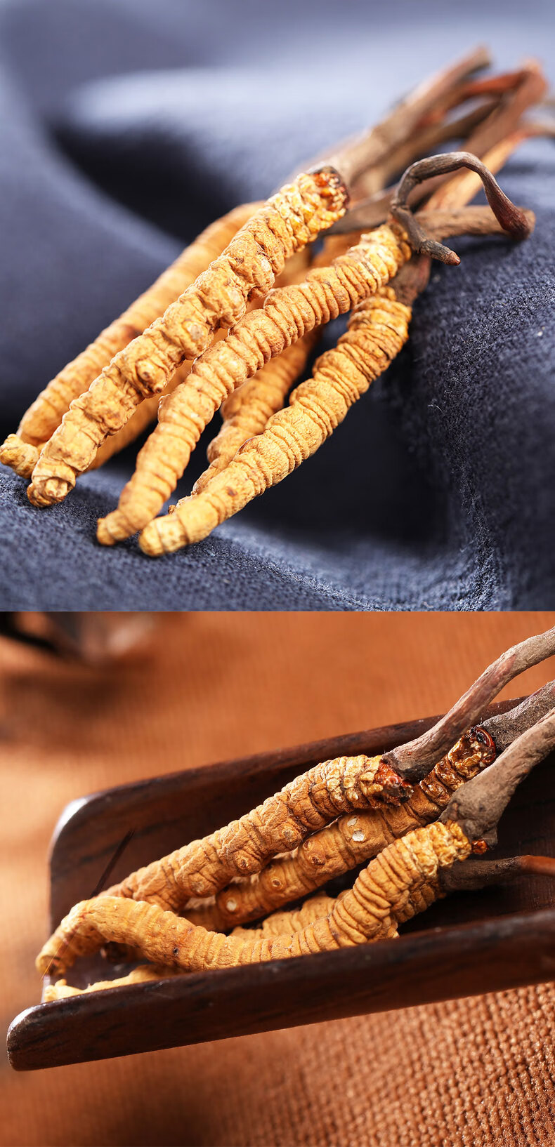 靠山庄 冬虫夏草 3条/克 1克盒装 金黄色 西藏那曲巴青县高海拔虫草 3