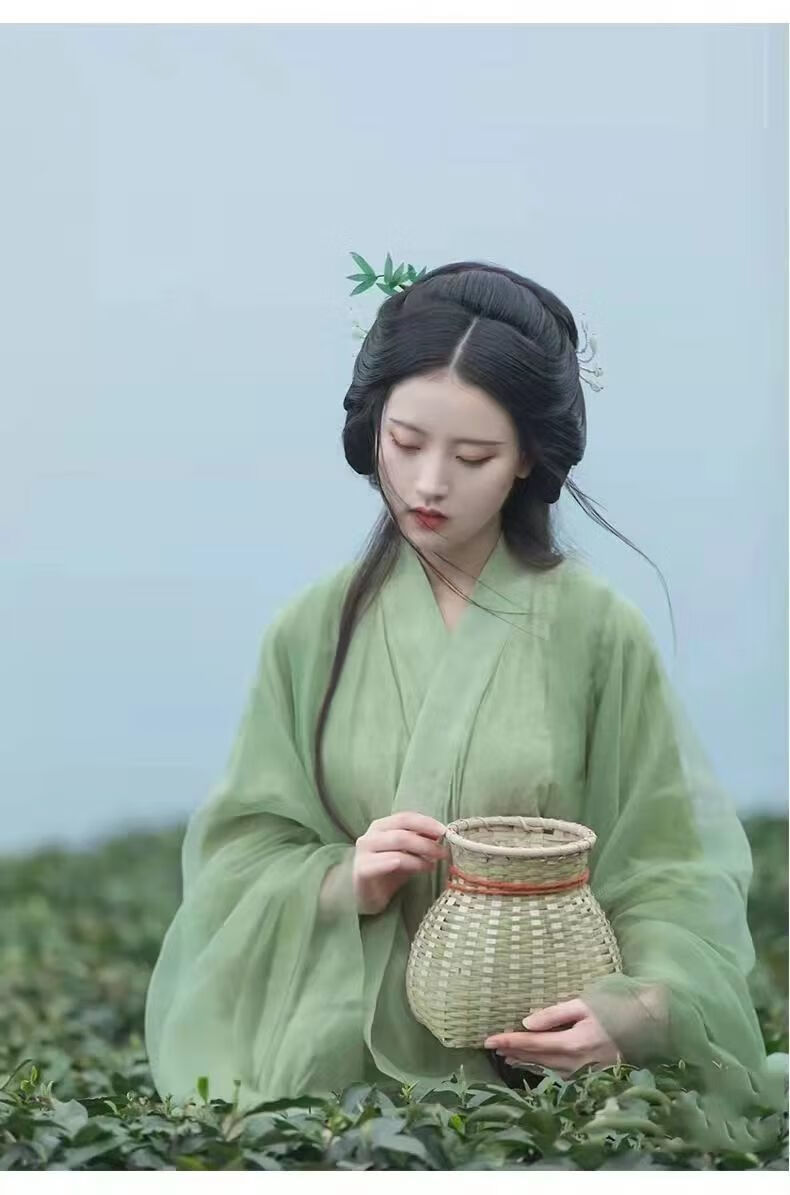 采茶记汉服女古风超仙飘逸魏晋风绿色直裾大袖衫素色淡雅古装直裾里衣