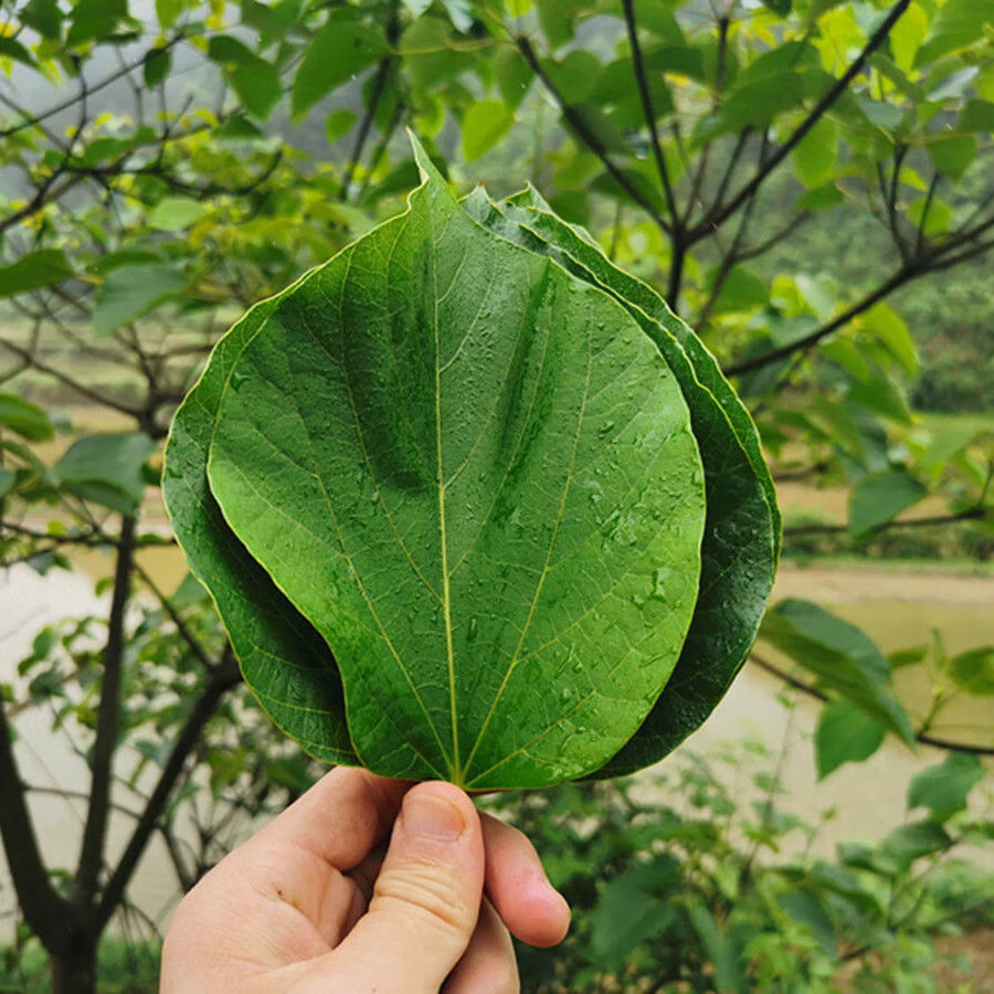 重庆武隆土坎桐子叶粑粑红糖麦粑8个g 8个【图片 价格 品牌 报价】