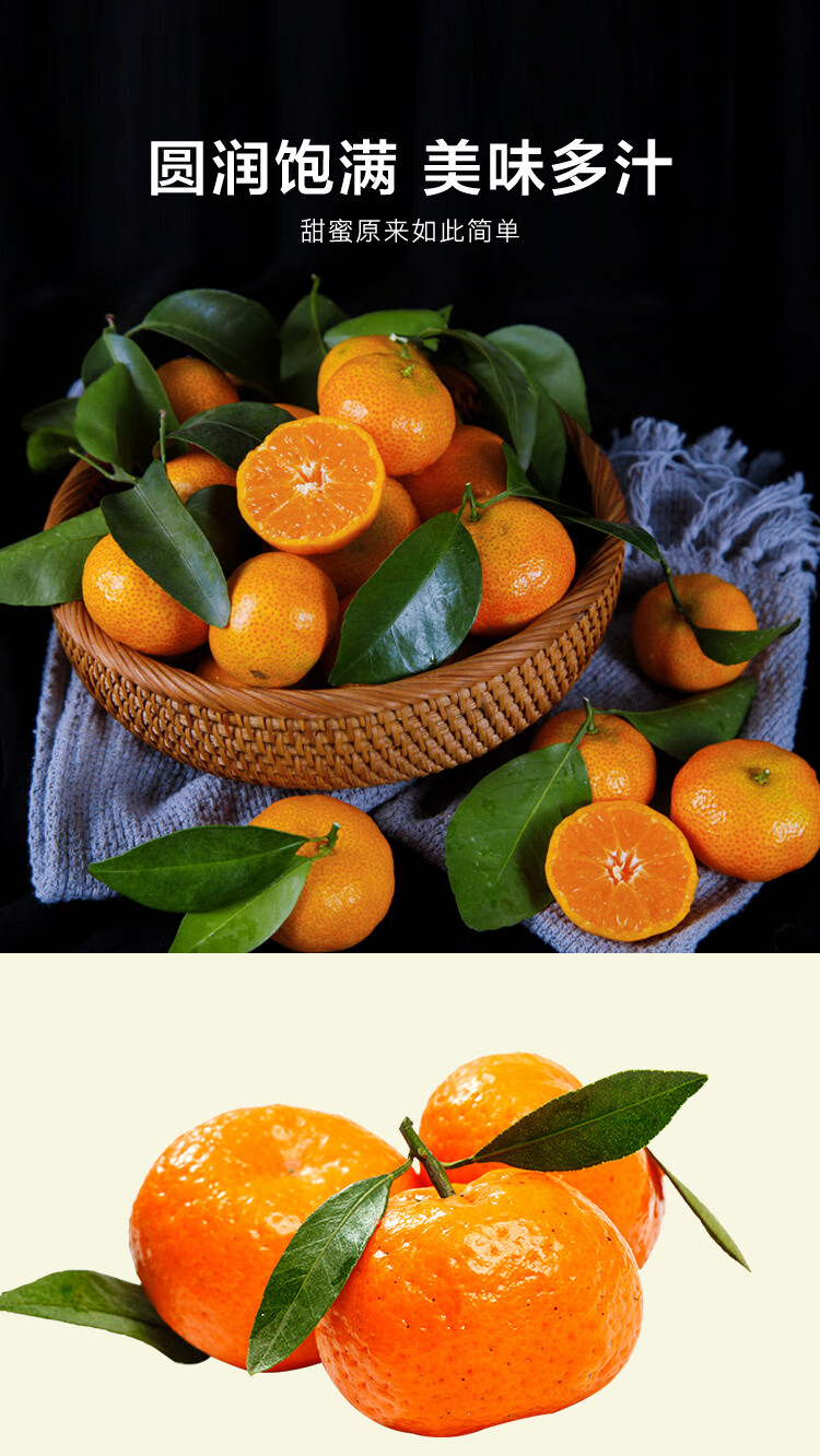 广西荔浦沙糖桔砂糖橘甜橘子25kg装新鲜水果砂糖桔2斤装