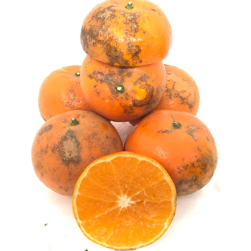 广西正宗水果新鲜橘子3/5/9斤桔子皇帝批发(预售) 9斤净果沃柑花皮