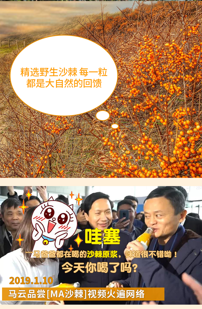 枸杞原浆鲜枸杞汁宁夏枸杞子原浆液中宁 野果沙棘原浆 10瓶装 无买送