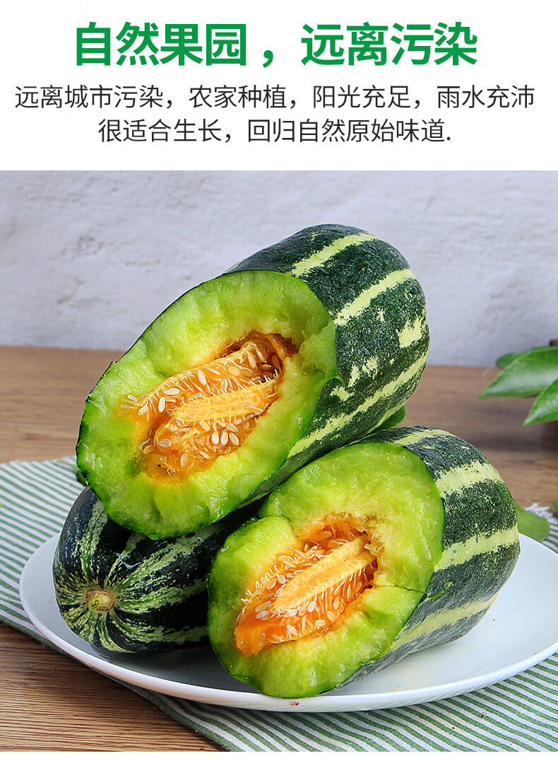 山东头茬博洋9号甜瓜香瓜羊角蜜绿宝小蜜瓜顺丰产地直供新鲜5斤大果当