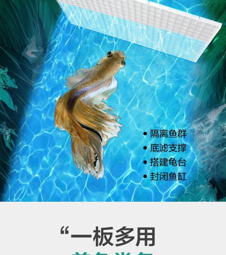 魚缸防跳網罩水族箱蓋板魚缸蓋子網蓋防逃網防跳蓋防止龍魚跳缸防雷龍