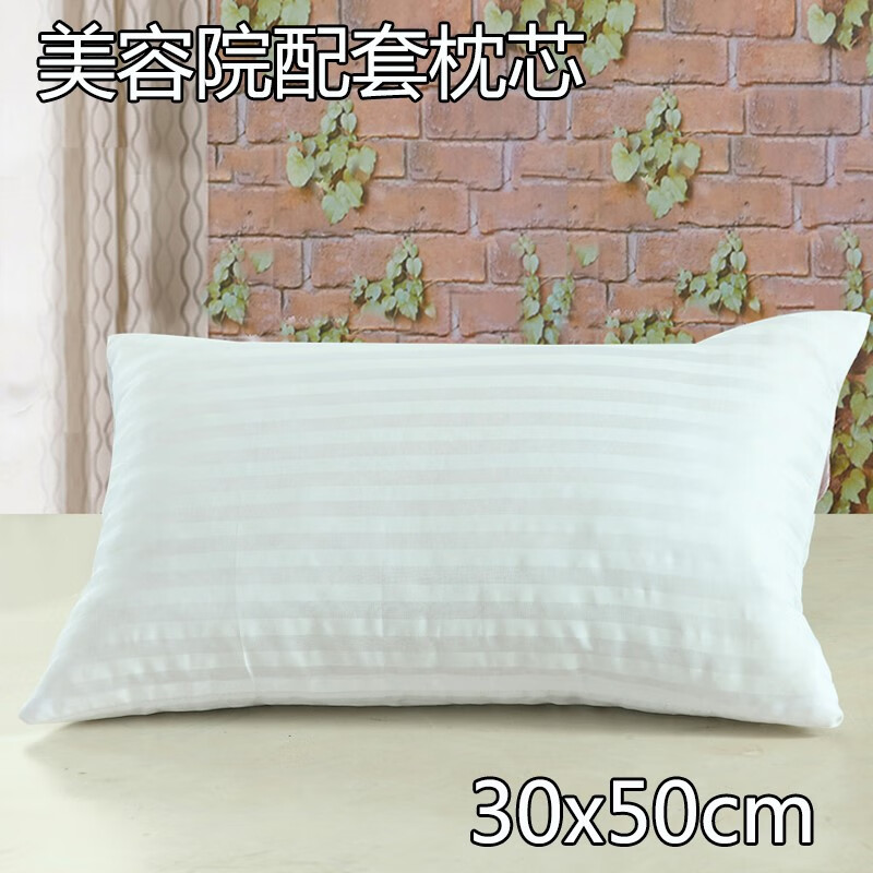 美容院专用枕芯 美容床罩配套白色小枕芯按摩枕芯阿宝 白色 小枕芯