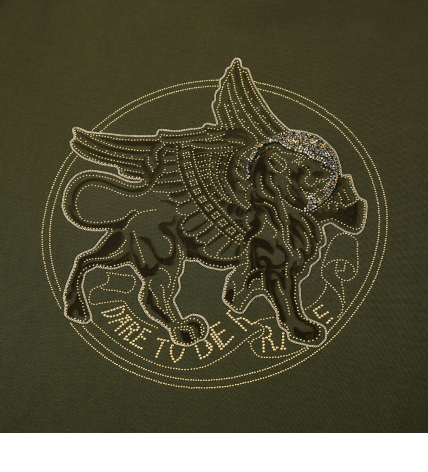 rare威雅男装男士卫衣套头衫绿色圆形飞狮图案长袖卫衣军绿色48