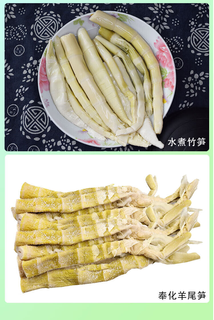 宁波羊尾笋5斤 宁波新鲜嫩水煮冬笋尖春笋清水竹笋天然现挖笋 冬笋