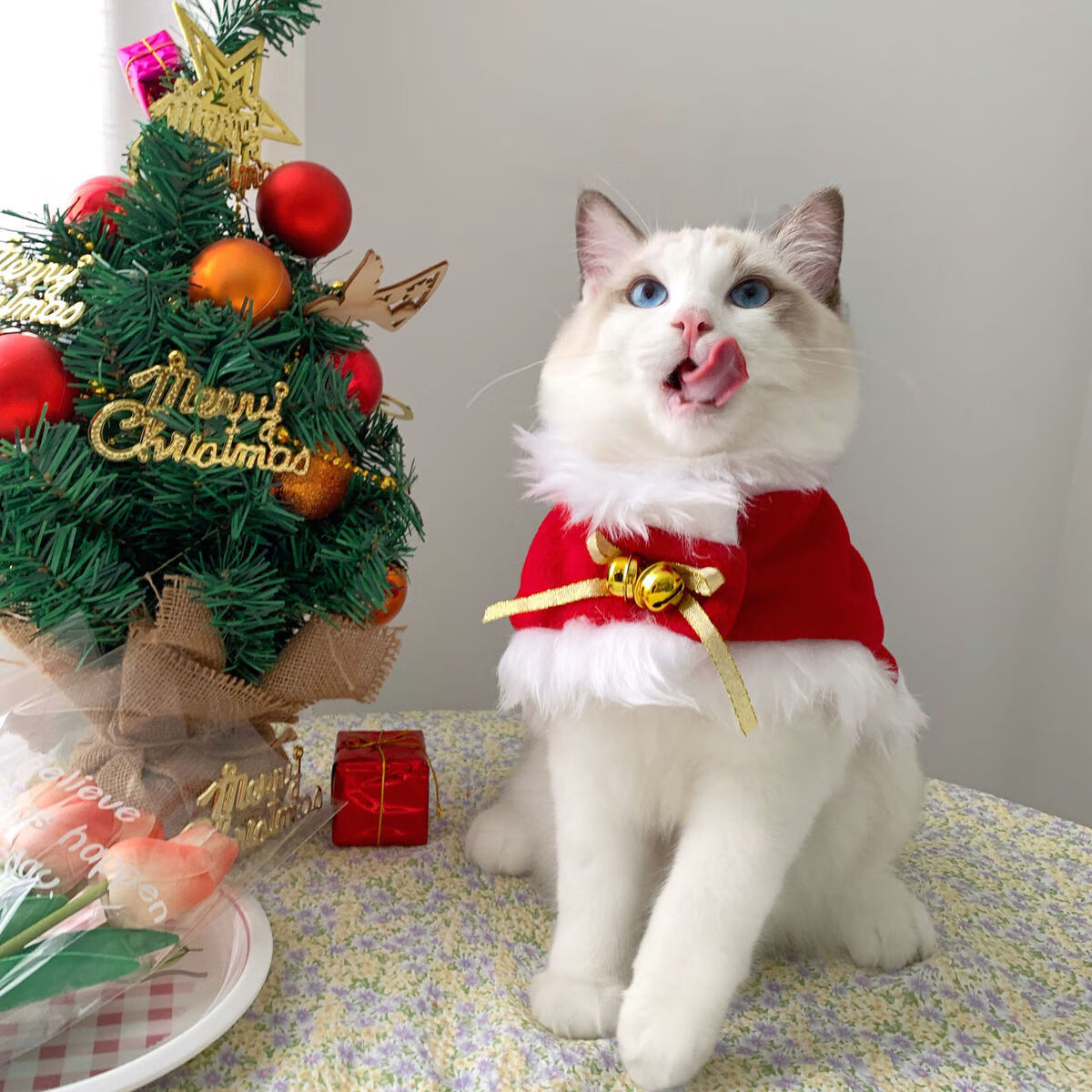 【工厂直发】宠物猫咪冬季圣诞节衣服英短布偶可爱装扮斗篷披风新年狗