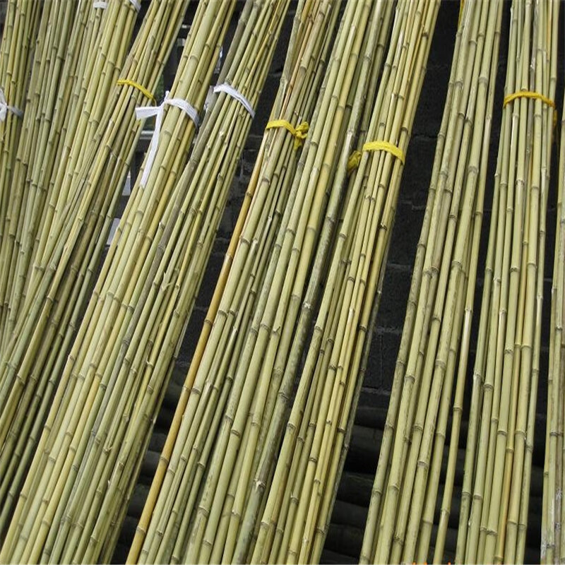 竹竿竹片批发庭院菜园蔬菜搭架栏杆园艺篱笆竹围栏竹子栅栏旗竹杆竹干