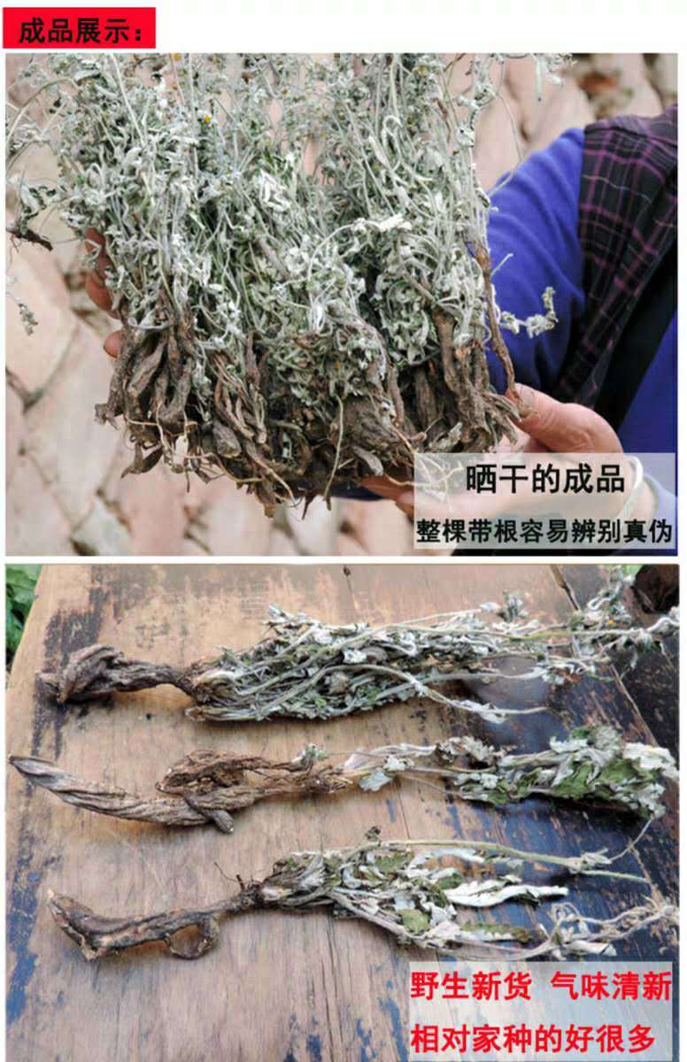 2020年新貨翻白草降糖幹品 新鮮整顆帶根中藥材翻白草 50g