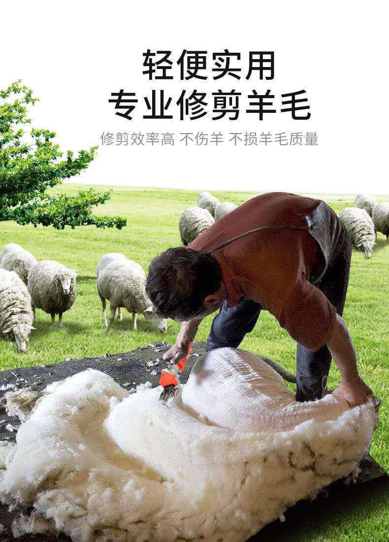 剪羊毛的电动推子绵羊羊毛剪电动剪毛机剪刀剪羊毛专用电推子剃羊毛的