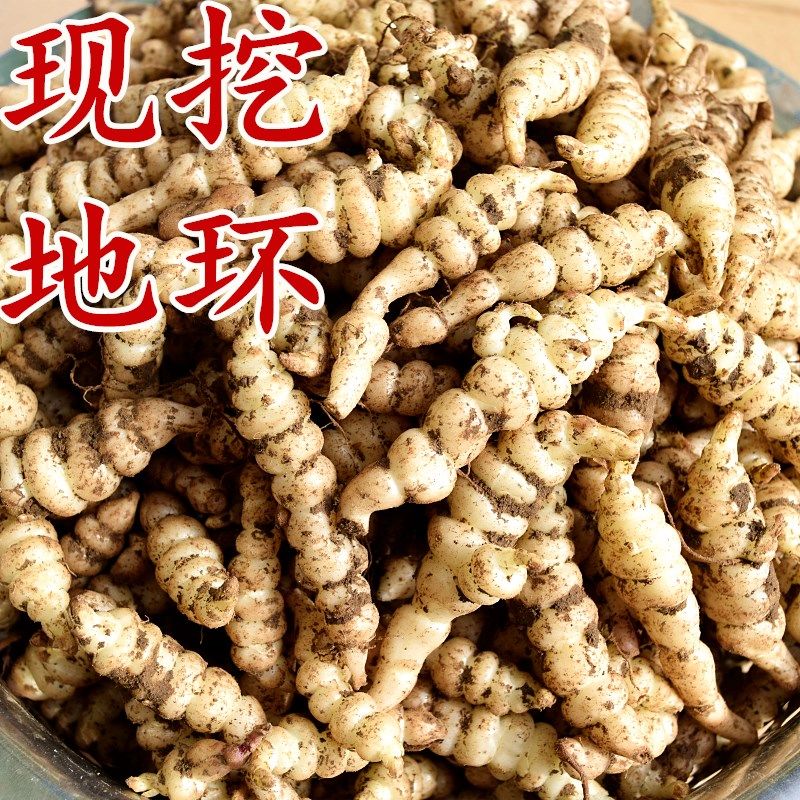 轻恋螺丝菜宝塔菜新鲜蔬菜地蚕甘露子种植地坏菜 3斤现挖螺丝菜【图片