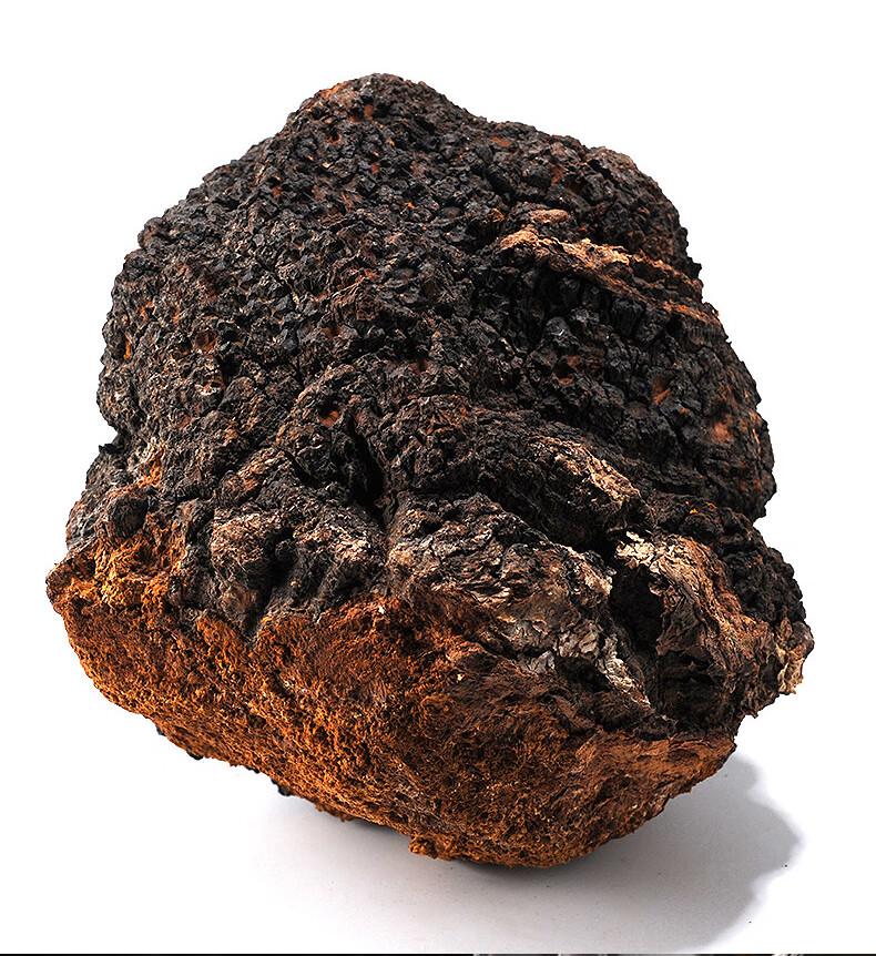 栢晟 桦褐孔菌 白桦茸茶 桦树茸黑金颗粒长白山桦树桑黄灵芝精粉 1块