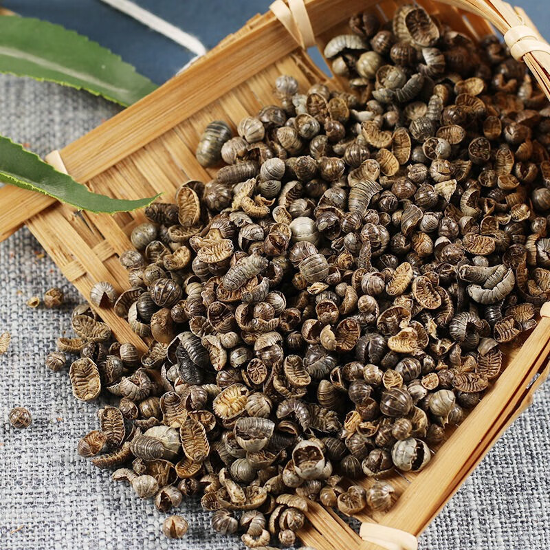 亳泽堂 鼠妇虫 中药材 潮虫 地虱子鼠子 鼠姑团子虫米汤虫可磨粉 500