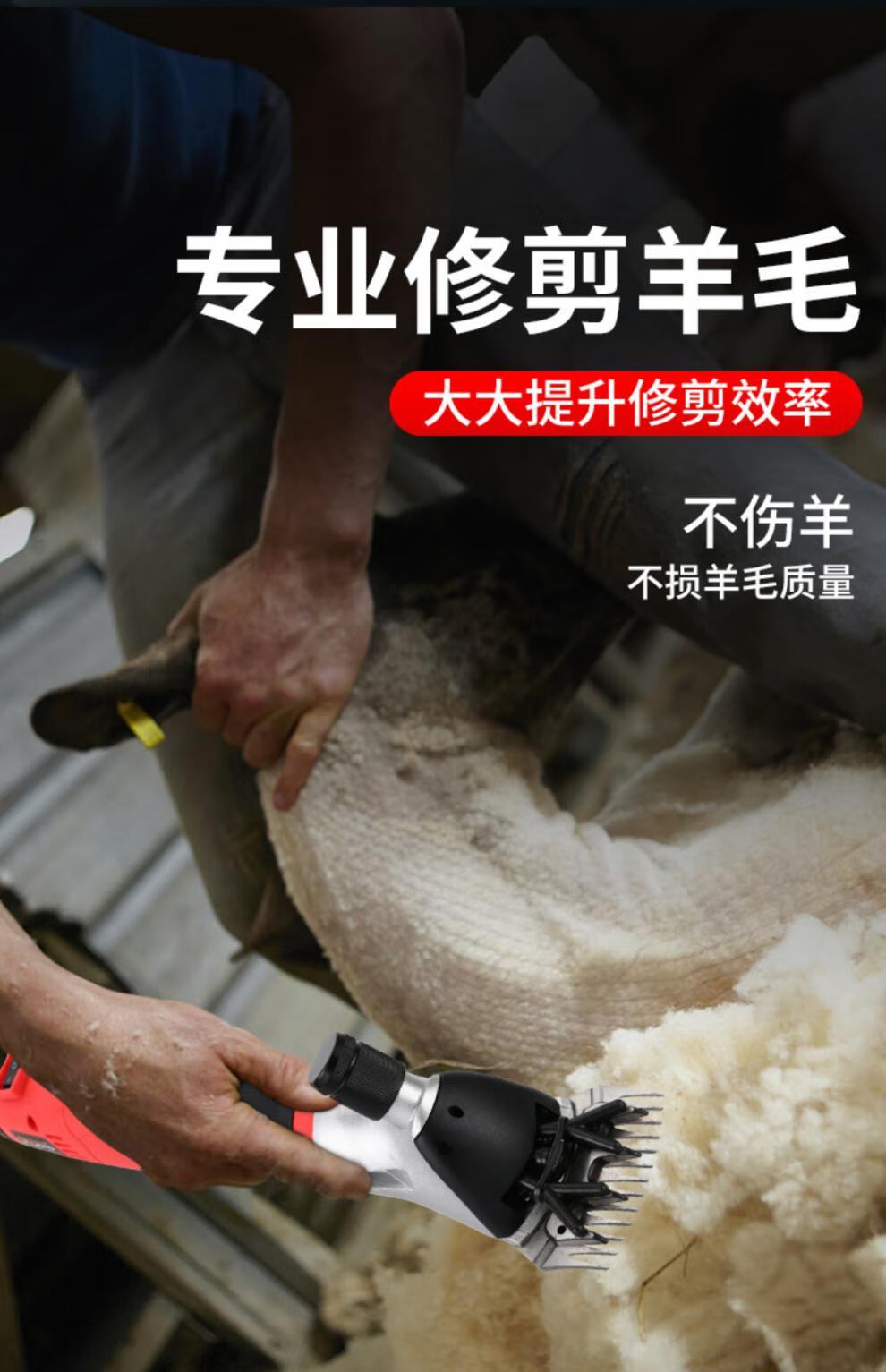 海尼格羊毛剪锐普顿电动剪推子手持式剪毛机剃专用电推子剪毛神器款配