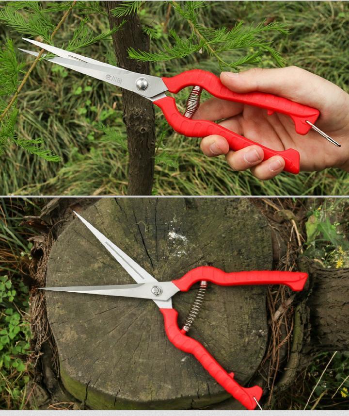 佐川田园艺剪刀树枝修剪摘花椒神器采摘工具采摘果蔬葡萄花艺剪刀佐川