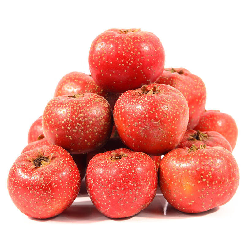 新鲜山楂果红果山里红纯生水果糖葫芦泡水批发山楂果新鲜普通小果一斤
