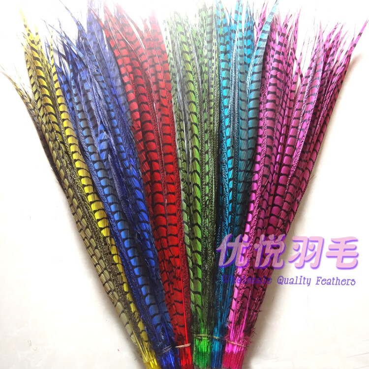 舞台俏花旦京剧戏曲头饰翎子铜鸡毛山鸡尾野鸡毛铜鸡侧尾羽毛 大红80