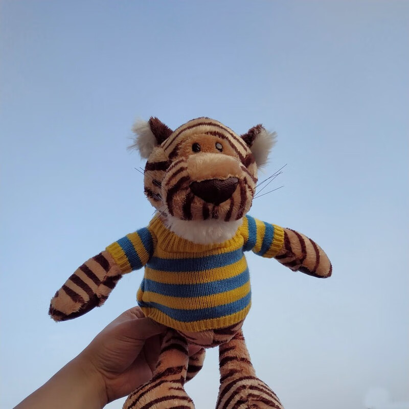 老虎公仔毛绒玩具女生可爱丑萌ins网红老虎玩偶儿童生日礼物娃娃 老虎