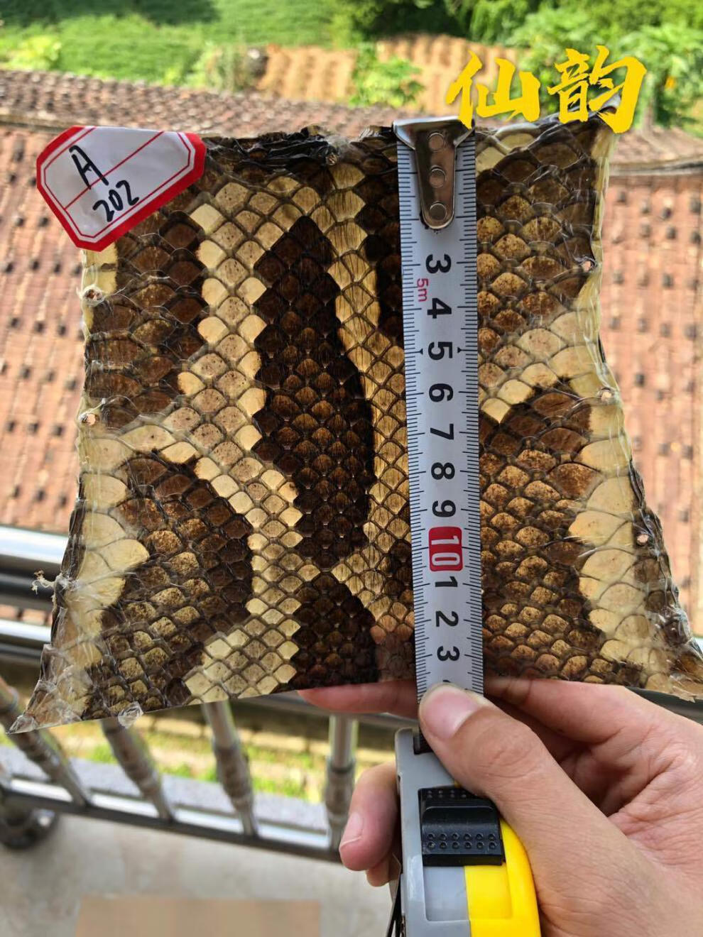 新店特惠蟒皮二胡皮中胡高胡尾部尾巴根二弦用皮单块蒙皮全国 b系中间