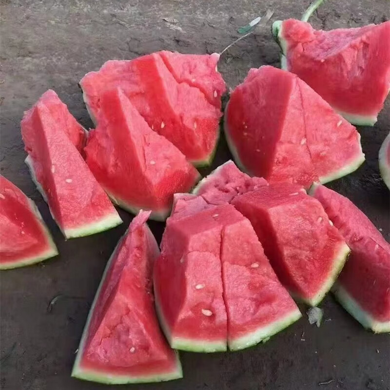 (2022头茬瓜)夏邑8424冰糖麒麟西瓜水果新鲜无籽现摘现发包熟甜脆甜多