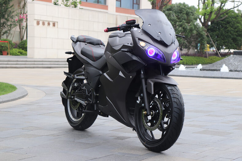 电动摩托车跑车电动车电摩趴赛成人代步地平线大型公路赛电瓶车变色龙